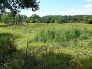 продаж ділянка сільськогосподарського призначення Козелецький, Остер, 