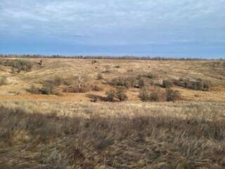 продаж ділянка сільськогосподарського призначення Обухівський, Велика 