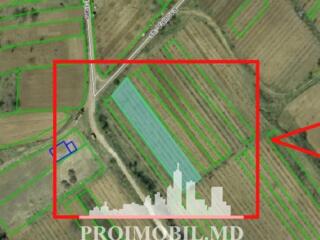 Spre vînzare se oferă teren sub construcție, situat în com. Trușeni, .