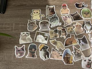 Стикеры котов. Кошачьи стикеры, наклейки.