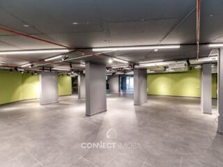 Bd. Renașterii Naționale, Râșcani, Chișinău