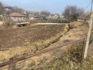 Lot de pămînt 12 ari, Dolinnoe