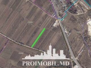 Spre vânzare se oferă teren agricol, situat în Trușeni. ...