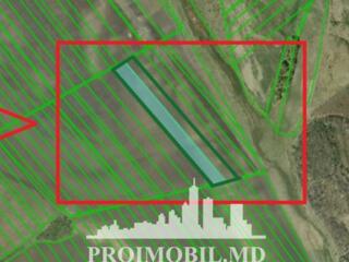 Spre vînzare se oferă teren agricol, situat însub.Сolonița.Suprafața .