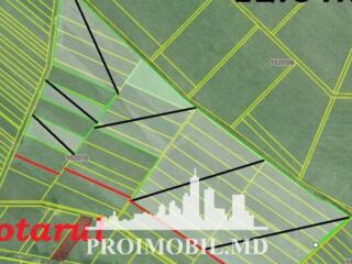 Spre vânzare se oferă teren agricol, situat în Ialoveni, sat. ...