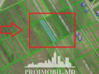 Spre vînzare se oferă teren pentruconstrucție, situat în or. ...