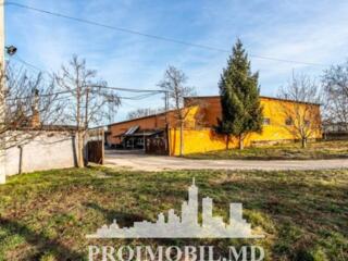 Sprevînzare spațiu de producere a mezelurilor si prelucrarea cărnii, .