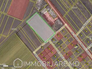 Teren agricol, loc. Pojăreni, r-nul Ialoveni Vă propunem spre vânzare 