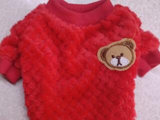 Одежда для животных