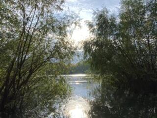 С румынского и молдавского на русский и наоборот