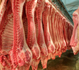 Работа в Ирландии для мужчин.