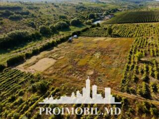 S pre vânzare se oferă teren cu destinație agricolă, situat la prima .