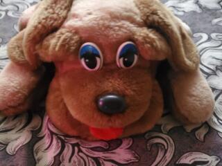 Продам. 50 рублей. Контактный телефон 077531339.