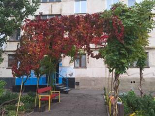 Трикімнатна квартира на Таїрова напроти ринка "Південний".