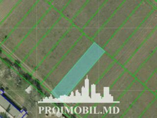 Spre vânzare se oferă teren pentru construcții, situat în Dumbrava. ..