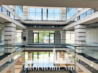 Spre chirie, centru comercial „Renaissance" amplasat în sect. Сen