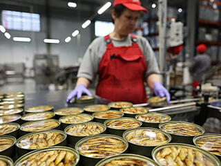 Стабильная работа в Польше на производстве консервов!