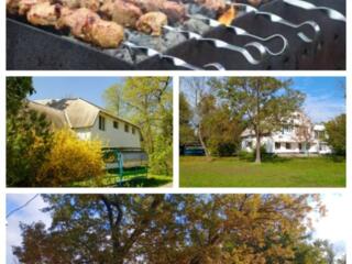 День на природе: беседка, мангал, живописная территория. Меренешты