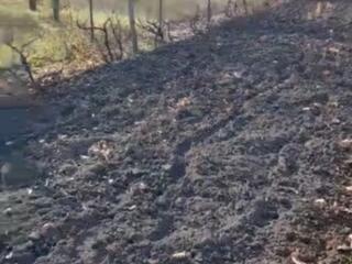 Продается дачный участок