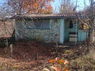 Продается дача в Тирасполе, район Западный, сот 3 "Цветущая вишня"