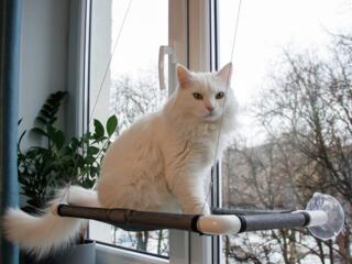 Лежанка- гамак с присосками для кошек, 55х30 см