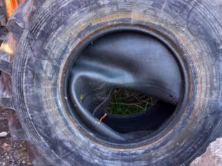 Продаю ТРАКТОРНУЮ шину 21,3-24R. 12сл. Кама.