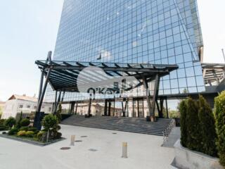 Se oferă spre chirie oficiu  amplasat în sectorul Centru, ...