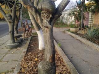 Статуи из дерева