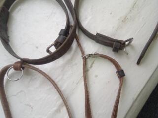 Ошейники для собачек малых и средних