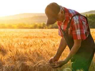 На сельскохозяйственное предприятие требуется агроном