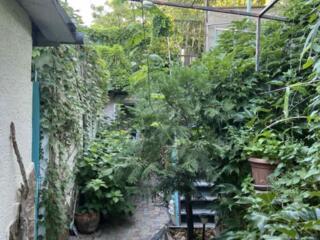 32852 Продам дачу у моря в районе 411 Батареи. ...