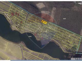 5 loturi împădurite pentru vilă