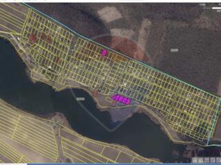 6 loturi în prima linie la iazul Cimișeni