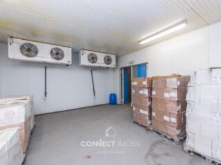 Pojareni, Chisinau, Moldova