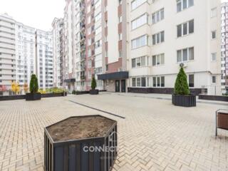 bd. Mircea cel Bătrân, Ciocana, Chisinau