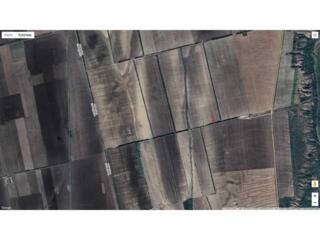 продаж ділянка сільськогосподарського призначення Болградський, Виногр