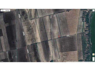 продаж ділянка сільськогосподарського призначення Болградський, Виногр