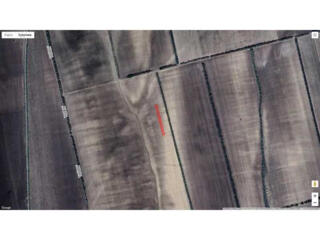 продаж ділянка сільськогосподарського призначення Болградський, Виногр