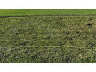 продаж ділянка сільськогосподарського призначення Нікопольський, Лошка