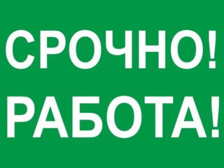 Работа в Германии по био. Паспортам