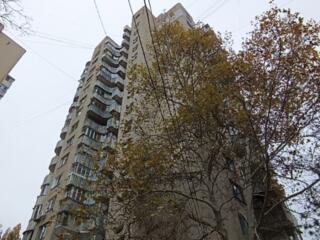 1-комнатная квартира, Ботаника.