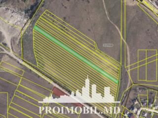 Spre vânzare se oferă teren agricol, situatîn r. Criuleni, sat. ...