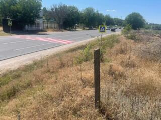 Lot de teren 63 ari, Anenii Noi