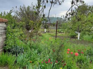 Жилой дом в селе Дачное