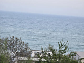 Дача Ковалевского, 5 соток.