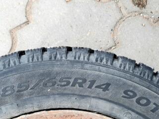 Куплю одну шину как на фото.