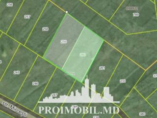 S pre vânzare se oferă teren pentru construcții, situat la prima ...