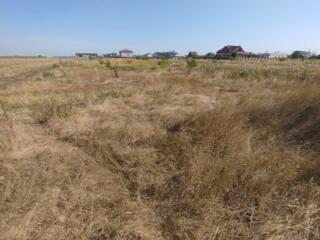 Продается земельный участок в с. Молодежное. Без застроек и ...