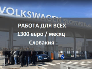 Работа в Словакии для семейных пар! 1300 евро ЗП