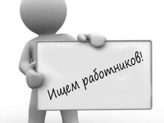 Работа во Франции!